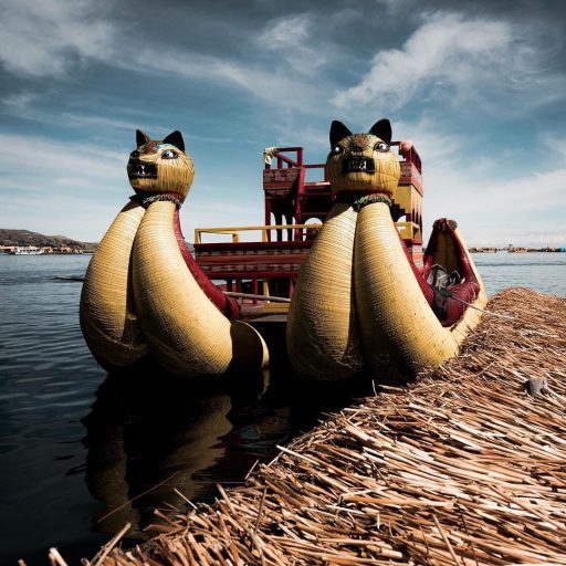 WhatsApp Image 2018-12-27 at 19.06.03